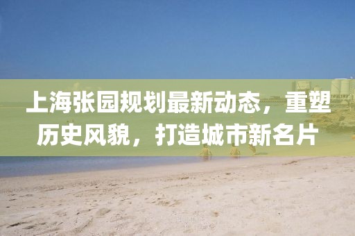 上海張園規(guī)劃最新動態(tài)，重塑歷史風(fēng)貌，打造城市新名片