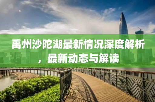 禹州沙陀湖最新情況深度解析，最新動態(tài)與解讀
