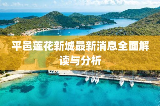 平邑蓮花新城最新消息全面解讀與分析