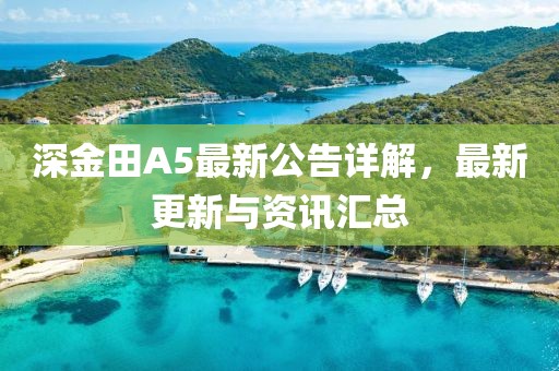 深金田A5最新公告詳解，最新更新與資訊匯總