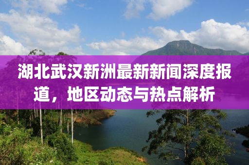 湖北武漢新洲最新新聞深度報道，地區(qū)動態(tài)與熱點解析