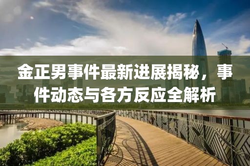 金正男事件最新進(jìn)展揭秘，事件動(dòng)態(tài)與各方反應(yīng)全解析