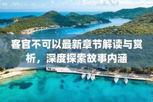 客官不可以最新章節(jié)解讀與賞析，深度探索故事內(nèi)涵