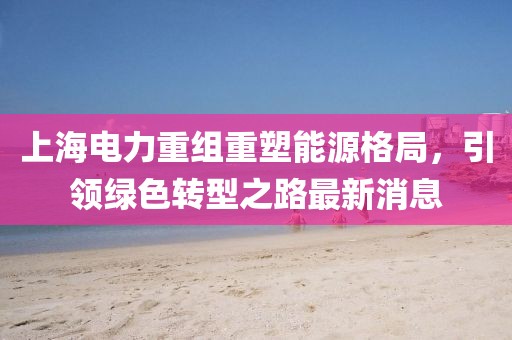 上海電力重組重塑能源格局，引領(lǐng)綠色轉(zhuǎn)型之路最新消息