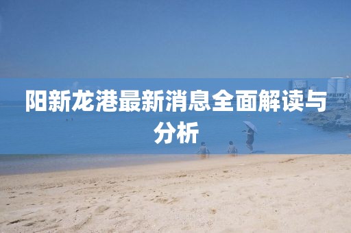 陽新龍港最新消息全面解讀與分析