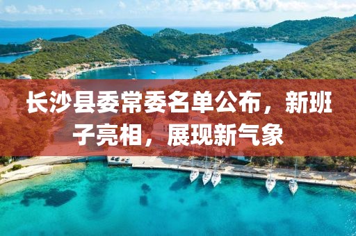 長沙縣委常委名單公布，新班子亮相，展現(xiàn)新氣象