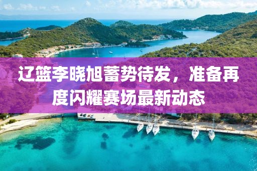 遼籃李曉旭蓄勢(shì)待發(fā)，準(zhǔn)備再度閃耀賽場(chǎng)最新動(dòng)態(tài)