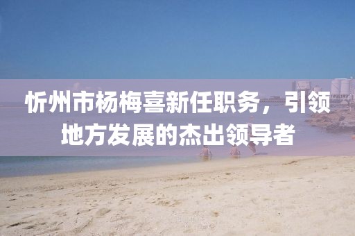 忻州市楊梅喜新任職務(wù)，引領(lǐng)地方發(fā)展的杰出領(lǐng)導(dǎo)者