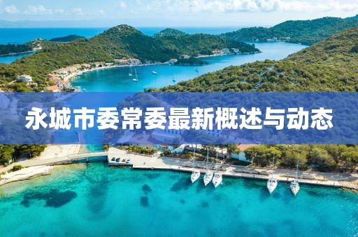 永城市委常委最新概述與動(dòng)態(tài)