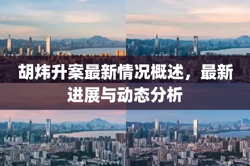 胡煒升案最新情況概述，最新進展與動態(tài)分析