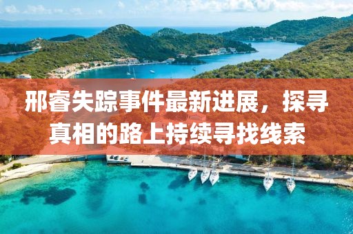 邢睿失蹤事件最新進展，探尋真相的路上持續(xù)尋找線索