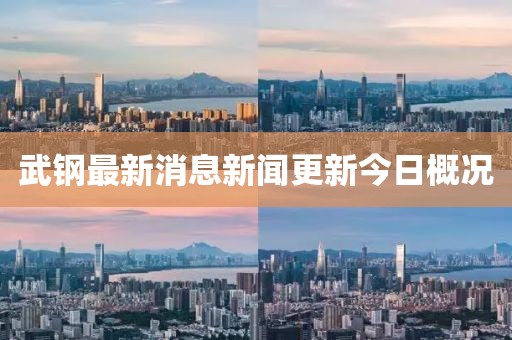 武鋼最新消息新聞更新今日概況