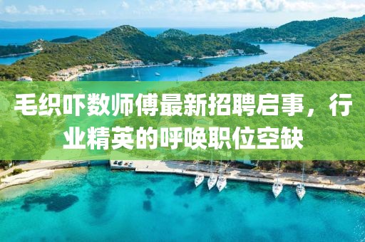 毛織嚇數(shù)師傅最新招聘啟事，行業(yè)精英的呼喚職位空缺