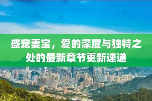 盛寵妻寶，愛的深度與獨特之處的最新章節(jié)更新速遞