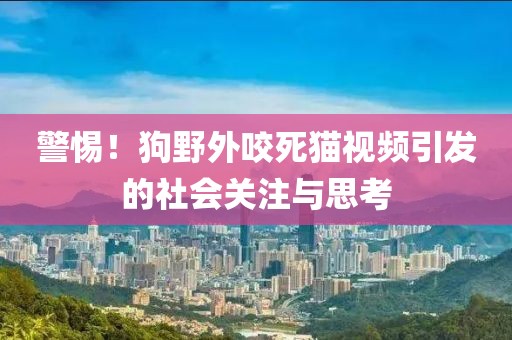 警惕！狗野外咬死貓視頻引發(fā)的社會關(guān)注與思考