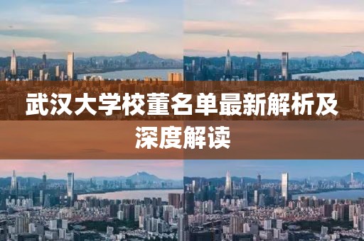 武漢大學(xué)校董名單最新解析及深度解讀