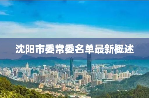 沈陽市委常委名單最新概述