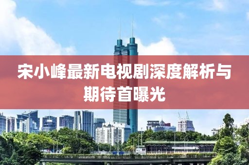 宋小峰最新電視劇深度解析與期待首曝光