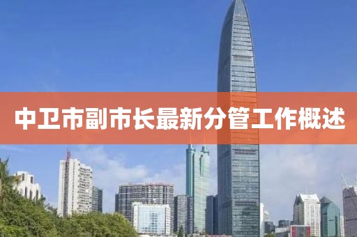 中衛(wèi)市副市長最新分管工作概述
