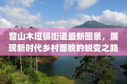 營山木埡鎮(zhèn)街道最新圖景，展現(xiàn)新時(shí)代鄉(xiāng)村面貌的蛻變之路
