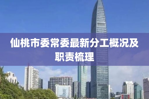 仙桃市委常委最新分工概況及職責梳理