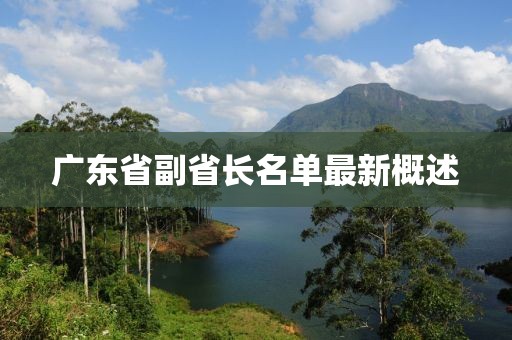 廣東省副省長名單最新概述