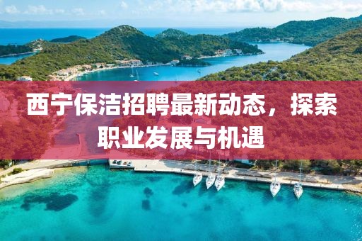 西寧保潔招聘最新動(dòng)態(tài)，探索職業(yè)發(fā)展與機(jī)遇