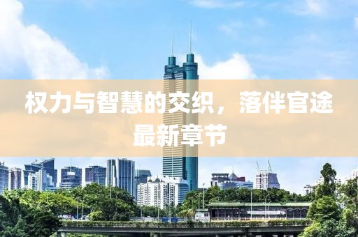 權(quán)力與智慧的交織，落伴官途最新章節(jié)