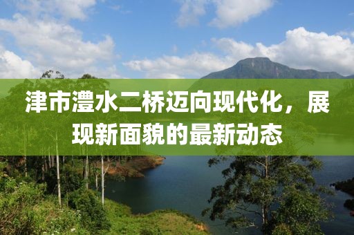 津市澧水二橋邁向現(xiàn)代化，展現(xiàn)新面貌的最新動態(tài)