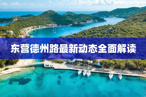 東營德州路最新動態(tài)全面解讀