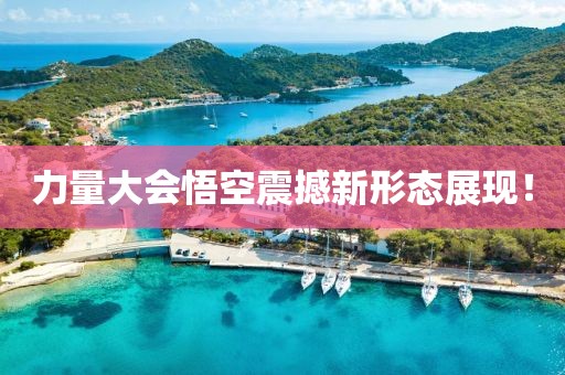 力量大會(huì)悟空震撼新形態(tài)展現(xiàn)！