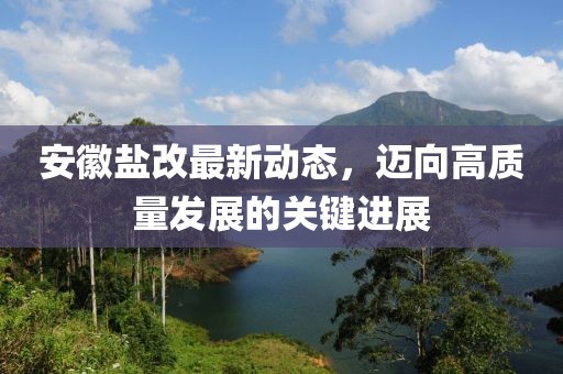 安徽鹽改最新動(dòng)態(tài)，邁向高質(zhì)量發(fā)展的關(guān)鍵進(jìn)展