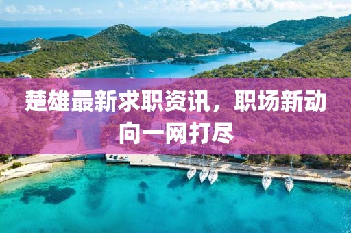 楚雄最新求職資訊，職場新動(dòng)向一網(wǎng)打盡