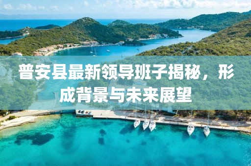 普安縣最新領(lǐng)導(dǎo)班子揭秘，形成背景與未來展望
