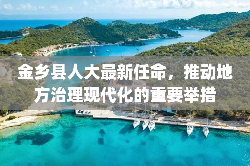 金鄉(xiāng)縣人大最新任命，推動地方治理現(xiàn)代化的重要舉措