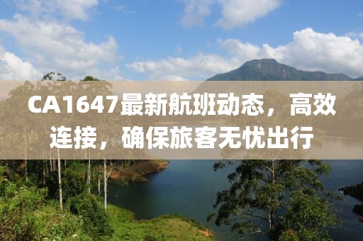 CA1647最新航班動(dòng)態(tài)，高效連接，確保旅客無(wú)憂出行