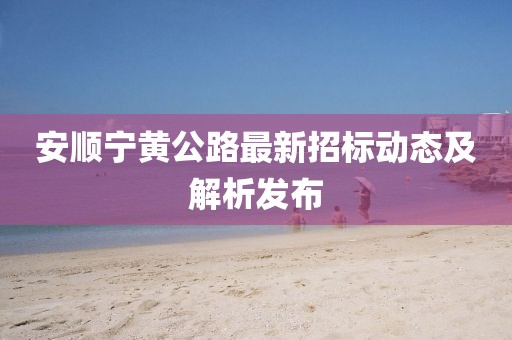 安順寧黃公路最新招標(biāo)動(dòng)態(tài)及解析發(fā)布