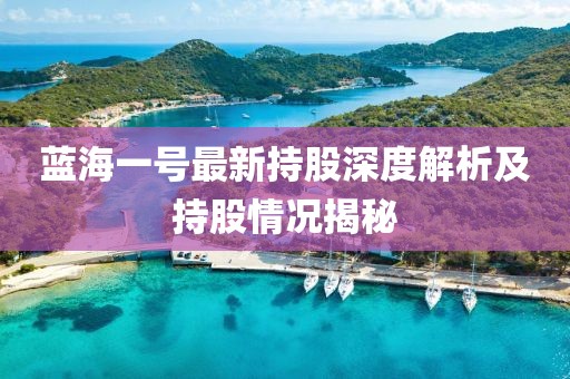 藍(lán)海一號(hào)最新持股深度解析及持股情況揭秘