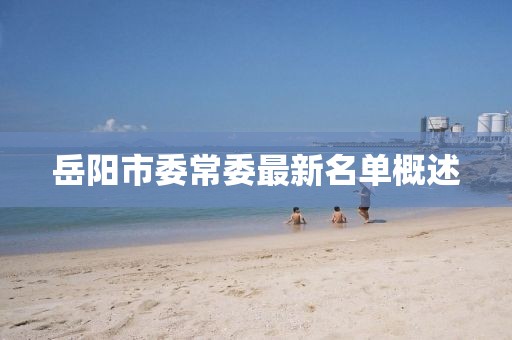 岳陽(yáng)市委常委最新名單概述