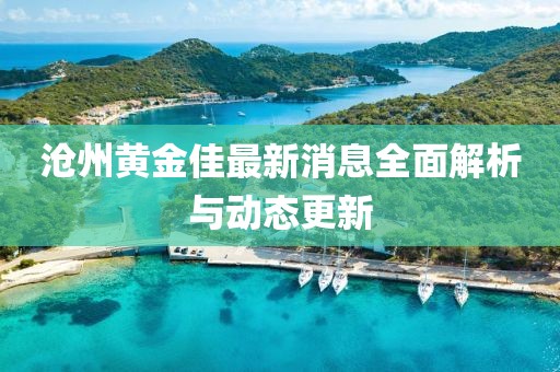 滄州黃金佳最新消息全面解析與動態(tài)更新