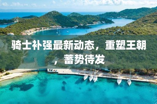 騎士補(bǔ)強(qiáng)最新動(dòng)態(tài)，重塑王朝，蓄勢(shì)待發(fā)