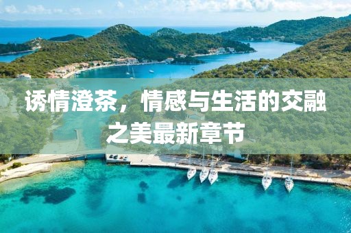 誘情澄茶，情感與生活的交融之美最新章節(jié)