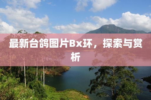 最新臺鴿圖片Bx環(huán)，探索與賞析