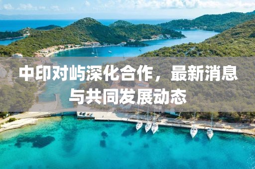 中印對嶼深化合作，最新消息與共同發(fā)展動態(tài)