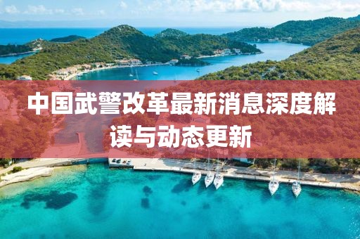 中國(guó)武警改革最新消息深度解讀與動(dòng)態(tài)更新