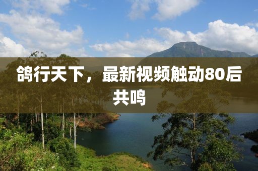 鴿行天下，最新視頻觸動80后共鳴