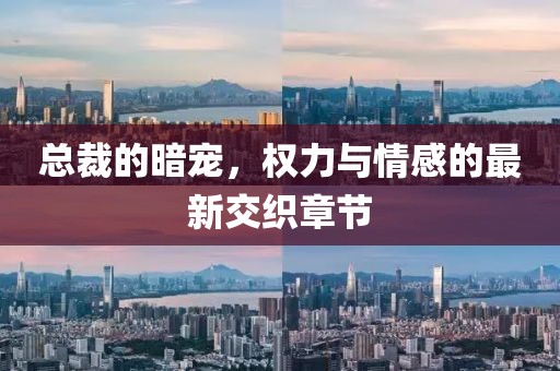 總裁的暗寵，權(quán)力與情感的最新交織章節(jié)