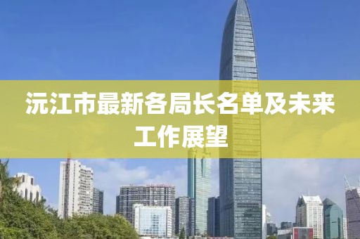 沅江市最新各局長名單及未來工作展望