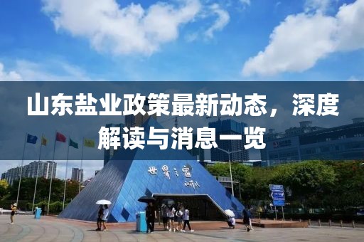 山東鹽業(yè)政策最新動態(tài)，深度解讀與消息一覽
