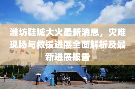 濰坊鞋城大火最新消息，災(zāi)難現(xiàn)場與救援進展全面解析及最新進展報告